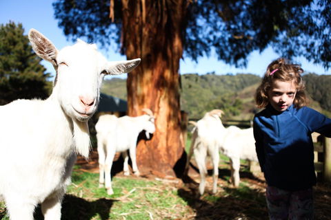 Valley View Nature Retreat - Australian Destinations 2