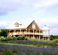 Serendipity Lavender Farm - Australian Destinations