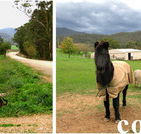 Emerald Park Holiday Farm - Australian Destinations