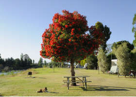 Stratford On The River Tourist Park - Australian Destinations 2