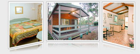 A Maze N Things Holiday Park - Australian Destinations 5