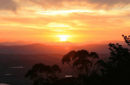 Avocado Sunset - Australian Destinations
