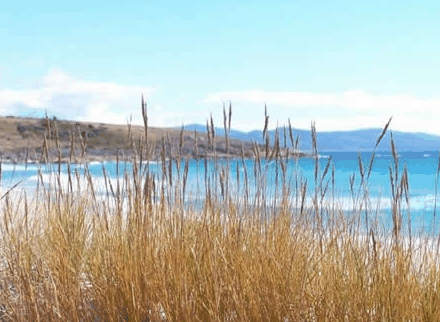 White Sands Estate - Australian Destinations
