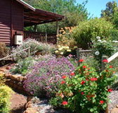 Chestnut Brook Cottage - Australian Destinations