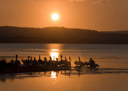 Mercure Centro Hotel - thumb 1