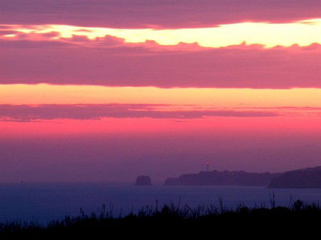 Anglesea Overboard Seaside Cottage - Australian Destinations 4