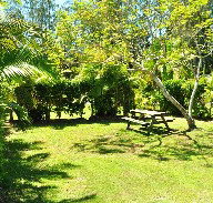 Wooli Caravan Park - Australian Destinations