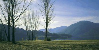 Ashton Townhouse Motel & Suites Tumut - Australian Destinations 3