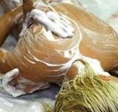 Exotique Massage - Australian Destinations