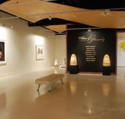 Counihan Gallery In Brunswick - Australian Destinations