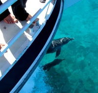 Pelican Charters - Australian Destinations
