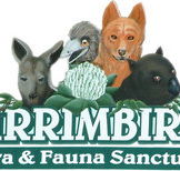 Wirrimbirra Sanctuary - Australian Destinations