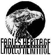 Eagles Heritage - Australian Destinations