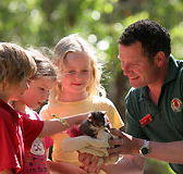 Cleland Wildlife Park - Australian Destinations
