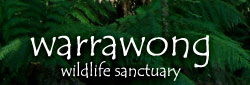 Warrawong Wildlife Park - Australian Destinations 0