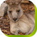  Australian Destinations