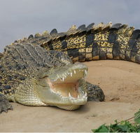 Dundee's Wildlife Park - Australian Destinations