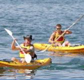 Manly Kayaks - Australian Destinations