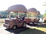 The Big Pineapple - Australian Destinations 2