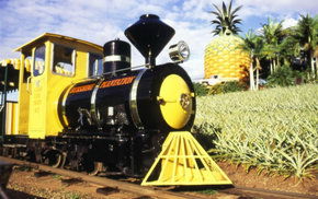 The Big Pineapple - Australian Destinations 3