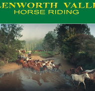 Glenworth Valley Horseriding - Australian Destinations