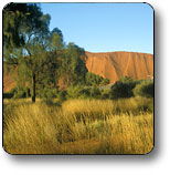  Australian Destinations