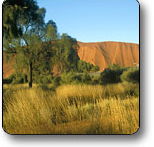 Uluru - Kata Tjuta National Park - Australian Destinations