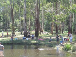 Buxton Trout And Salmon Farm - Australian Destinations 3