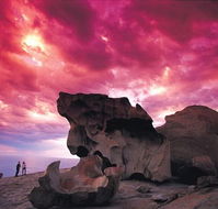 Kangaroo Island Adventure Tour 2 day/1 night - Australian Destinations