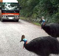 Kookaburra Tours - Australian Destinations