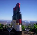 Mount Tamborine Winery  Homestead - Australian Destinations