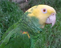 Gorge Wildlife Park - Australian Destinations 3