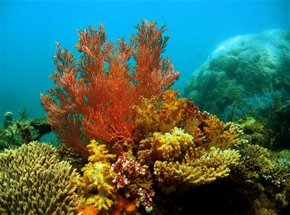  Australian Destinations
