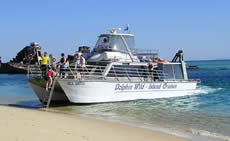 Dolphin Wild - Australian Destinations 2