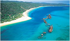 Dolphin Wild - Australian Destinations 3