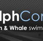 Dolphcom - Dolphin  Whale Swimming Adventures - Australian Destinations