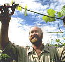 Barossa Experience Tours - Australian Destinations