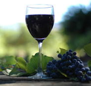Lion Mill Vineyards - Australian Destinations