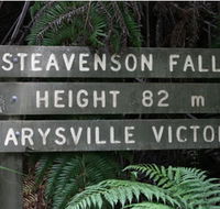 Stevensons Falls - Australian Destinations