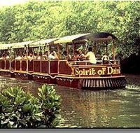 Daintree Rainforest River Trains - Australian Destinations