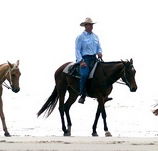 Ride the Beach - Australian Destinations