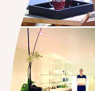 Lyall Hotel and Spa - Australian Destinations