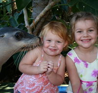 Dolphin Marine Magic - Australian Destinations