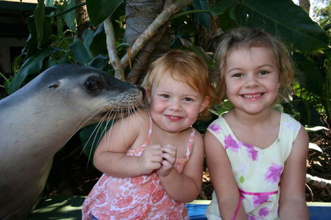 Dolphin Marine Magic - Australian Destinations 0