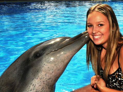 Dolphin Marine Magic - Australian Destinations 3