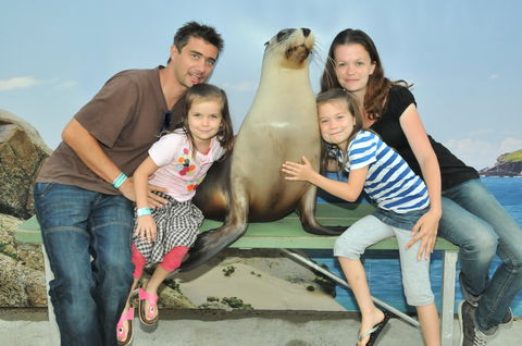 Dolphin Marine Magic - Australian Destinations 6