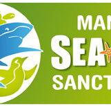 Manly SEA LIFE Sanctuary - Australian Destinations