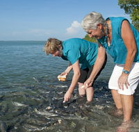 Aquascene Fish Feeding Sanctuary - Australian Destinations