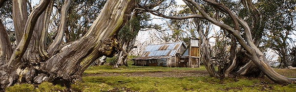High Country Scenic Tours - Australian Destinations