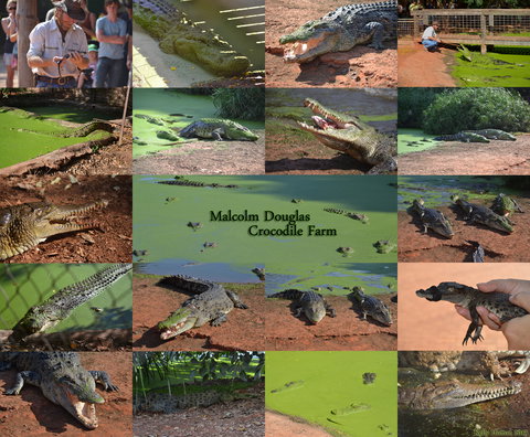 The Malcolm Douglas Crocodile Park - Australian Destinations 0